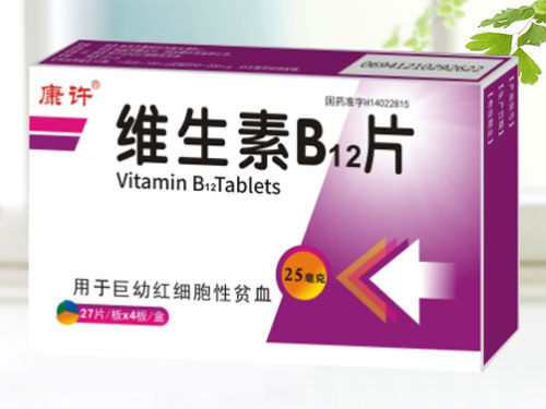维生素B12片（天行健+康许+会康）