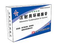 注射用環(huán)磷腺苷
