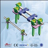 脊柱固定器