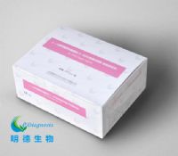 β-人絨毛膜促性腺激素(β-HCG)檢測試劑盒(免疫層析法)