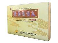 壮筋续骨丸