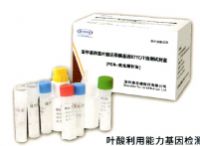 MTHFRC677基因檢測試劑盒