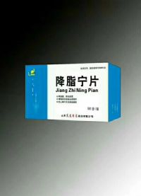 降脂寧片