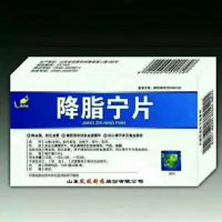 降脂寧片