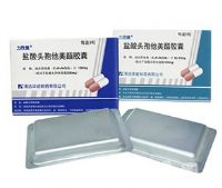 鹽酸頭孢他美酯膠囊