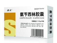 氨芐西林膠囊