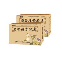 麝香風(fēng)濕膠囊