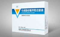 馬來酸桂哌齊特注射液