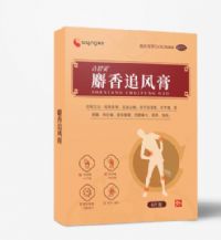 麝香追風(fēng)膏