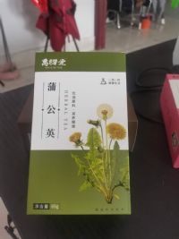 蒲公英