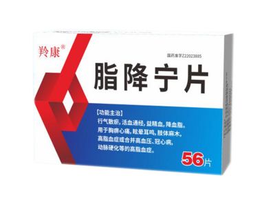 脂降宁片