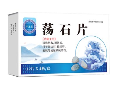 荡石片