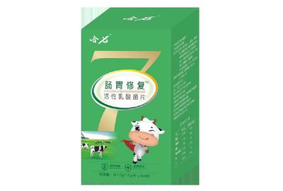 腸胃修復 活性乳酸菌片