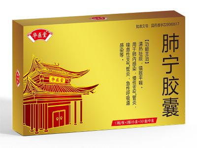 肺寧膠囊<p>醫(yī)保編碼：ZA06CBF0033020303450</p >