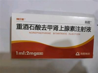 重酒石酸去甲腎上腺素注射液