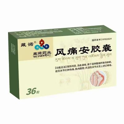 風痛安膠囊