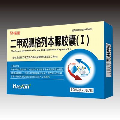 二甲雙胍格列本脲膠囊(Ⅰ)