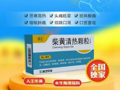 追風(fēng)透骨膠囊
