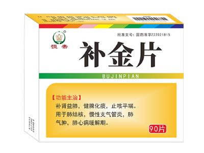 补金片