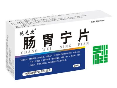 肠胃宁片