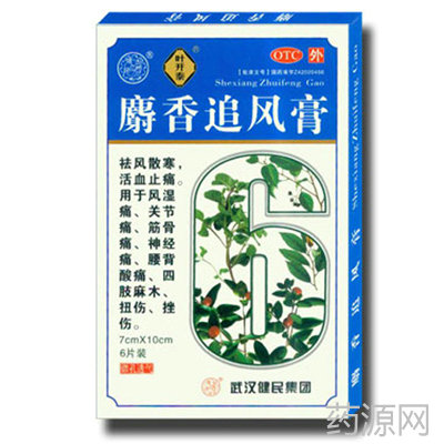 麝香追風(fēng)膏