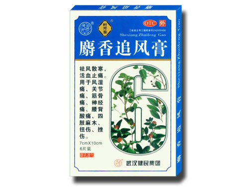 麝香追風(fēng)膏