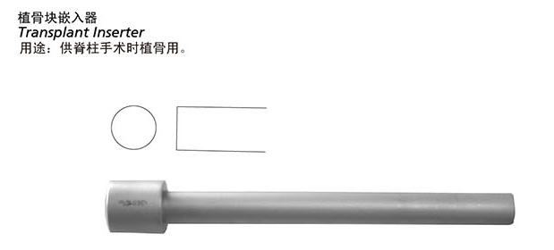 植骨塊嵌入器