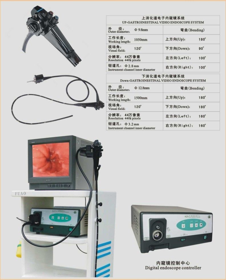 上消化道電子內(nèi)窺鏡