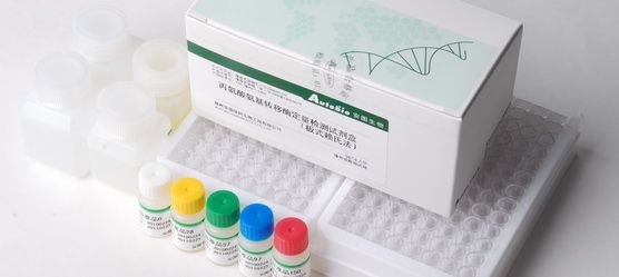 丙氨酸氨基转移酶定量检测试剂盒(板式赖氏法)