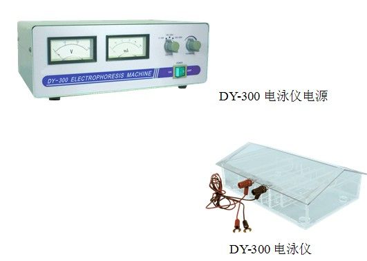 電泳裝置