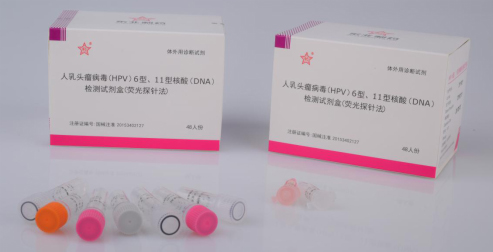 人乳頭瘤病毒（HPV）6型、11型核酸（DNA）檢測(cè)試劑盒（熒光探針?lè)? width=