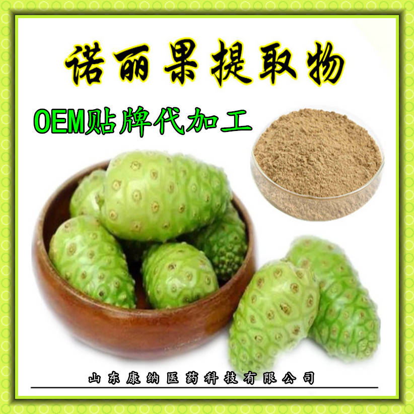 諾麗果粉 諾麗果濃縮粉 各種水果粉 oem貼牌代加工