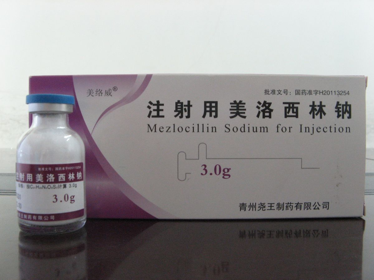 注射用苯唑西林钠 - 青霉素系列 - 苏州二叶制药有限公司