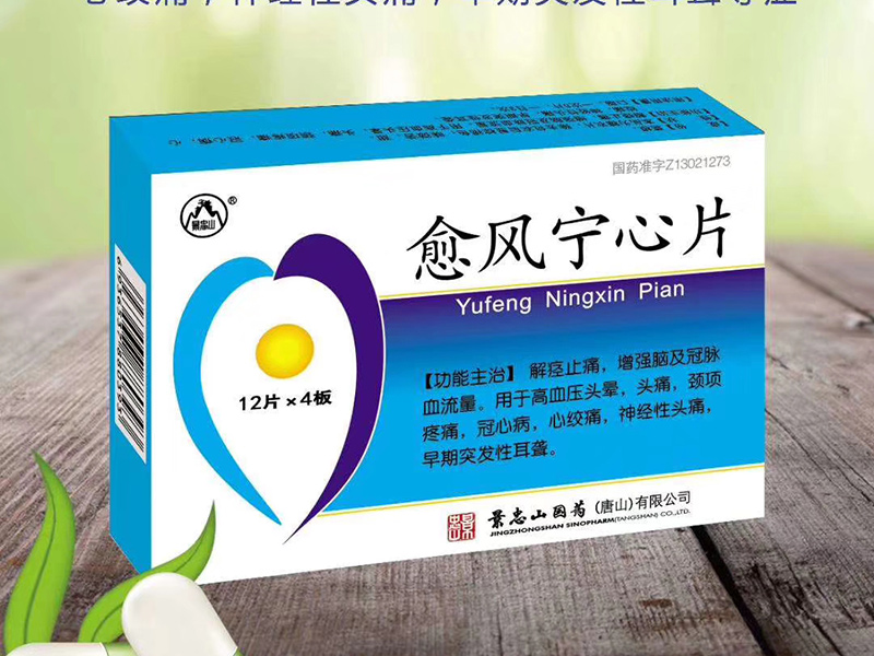 愈風寧心片