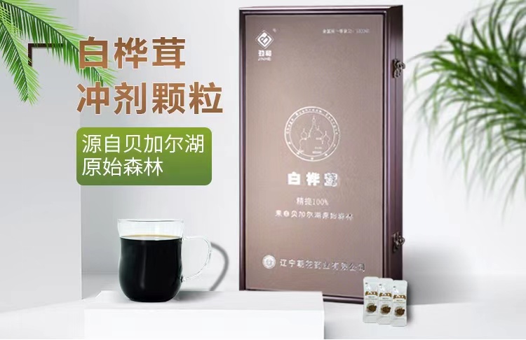 白樺茸（大）