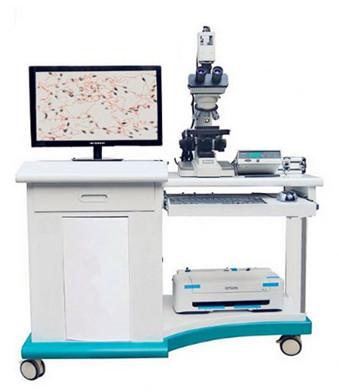 厂商进口以色列MES精子质量分析仪SQA-V