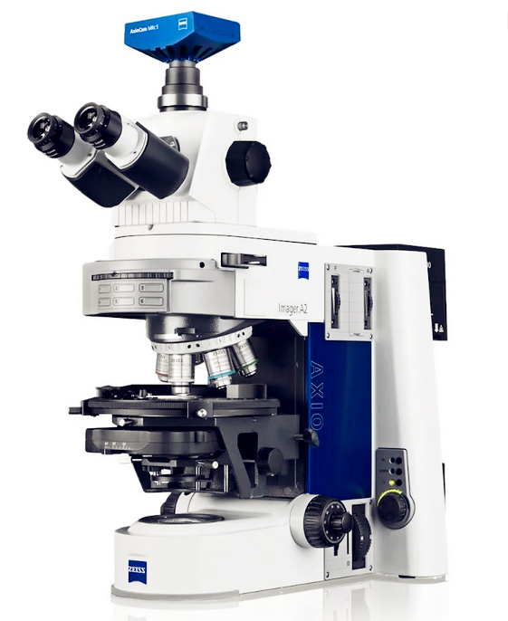 厂家蔡司全自动正置荧光显微镜Axio Imager M2