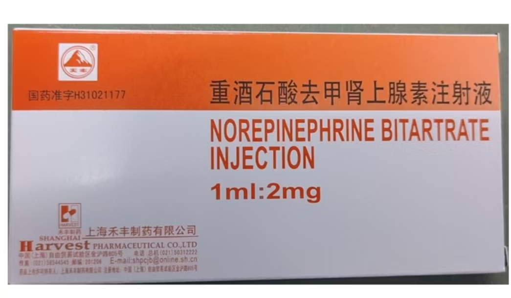 重酒石酸去甲腎上腺素注射液