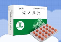 邁之靈片