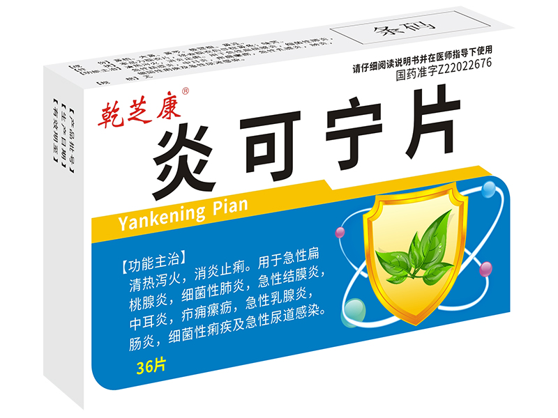 炎可寧片