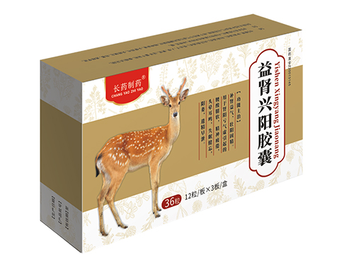 益腎興陽膠囊