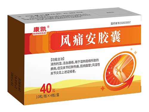 風(fēng)痛安膠囊